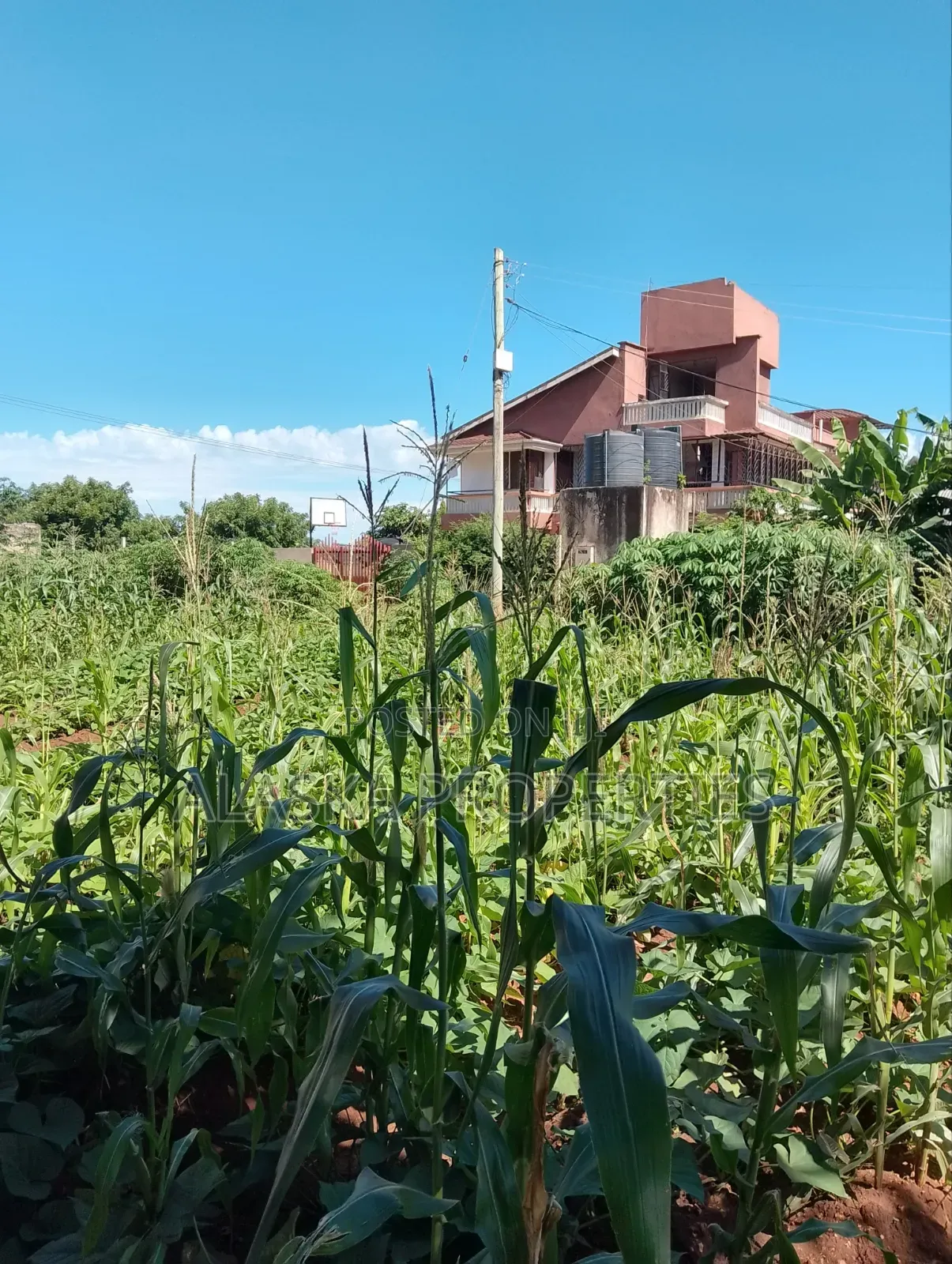 1/8 Prime Residential Plot for Sale in Utange