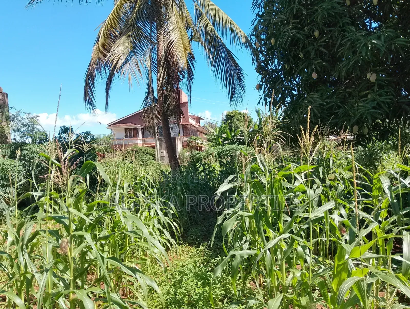 1/8 Prime Residential Plot for Sale in Utange