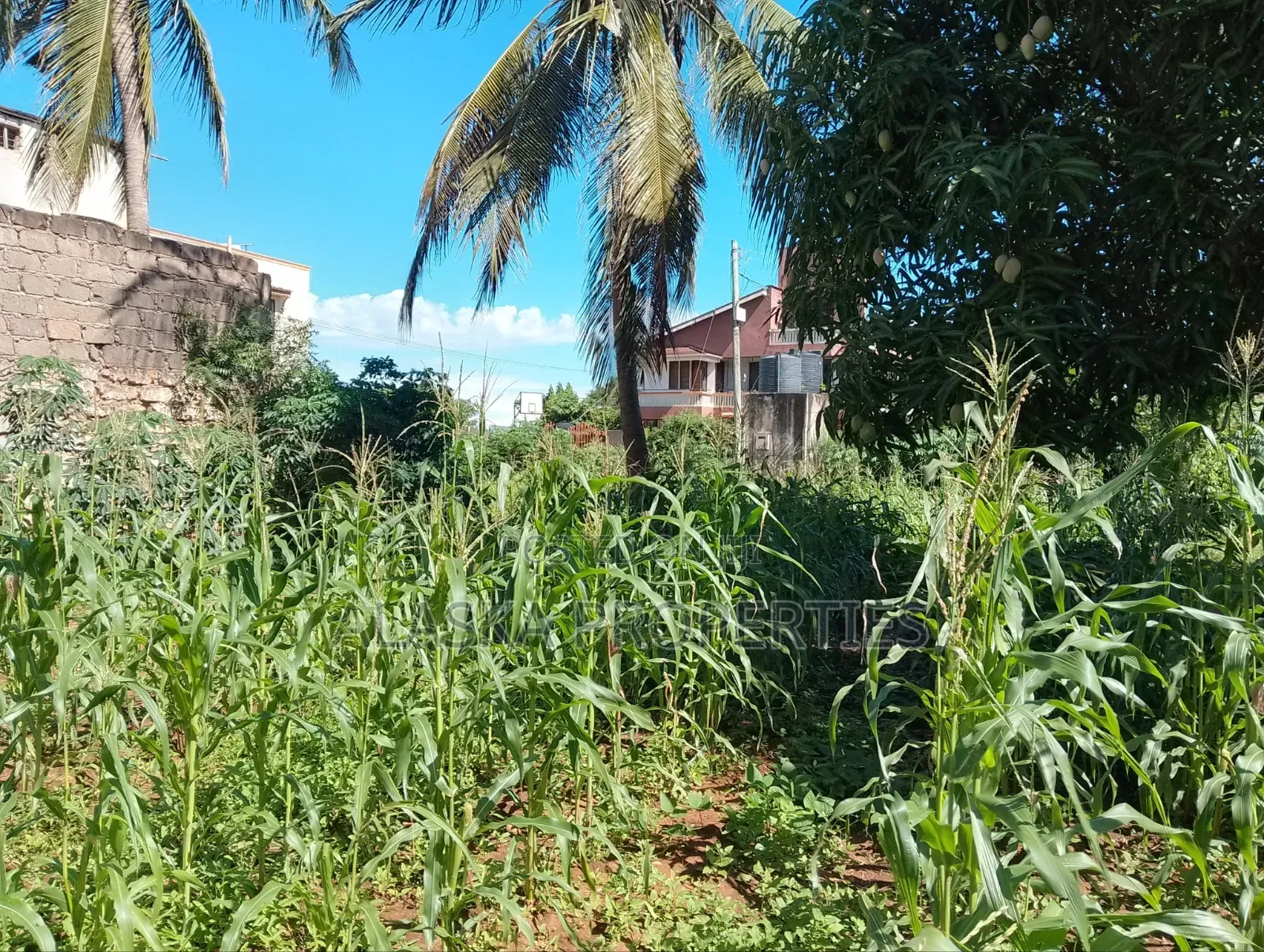 1/8 Prime Residential Plot for Sale in Utange