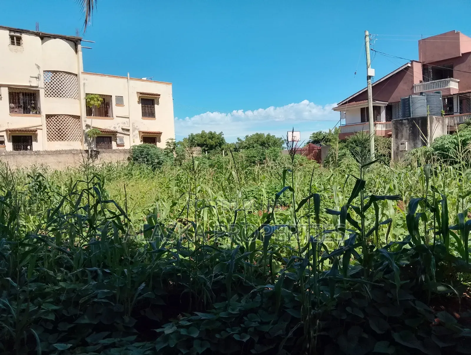 1/8 Prime Residential Plot for Sale in Utange