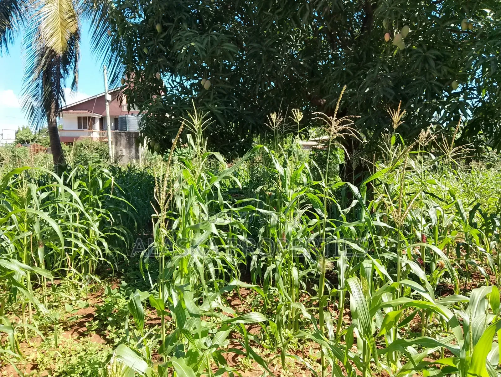 1/8 Prime Residential Plot for Sale in Utange