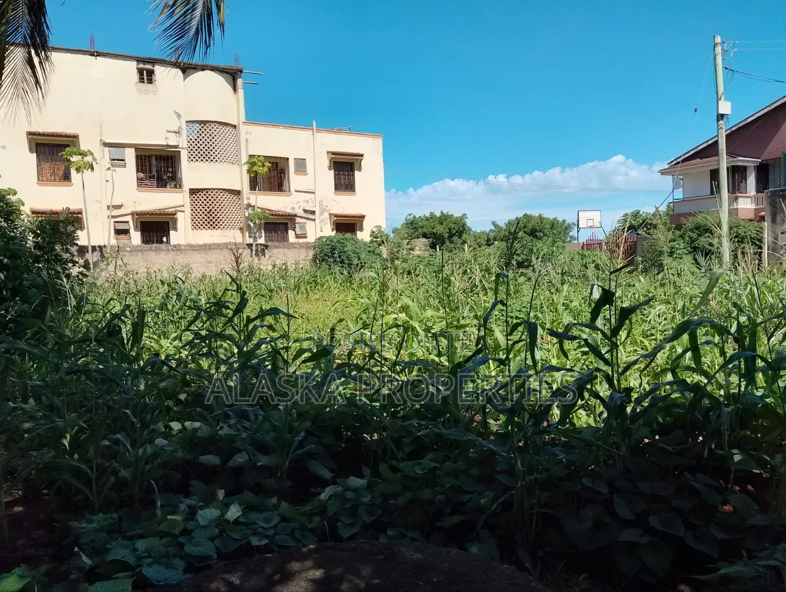 1/8 Prime Residential Plot for Sale in Utange
