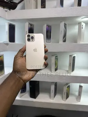 Apple iPhone 12 Pro Max 256 GB Gold
