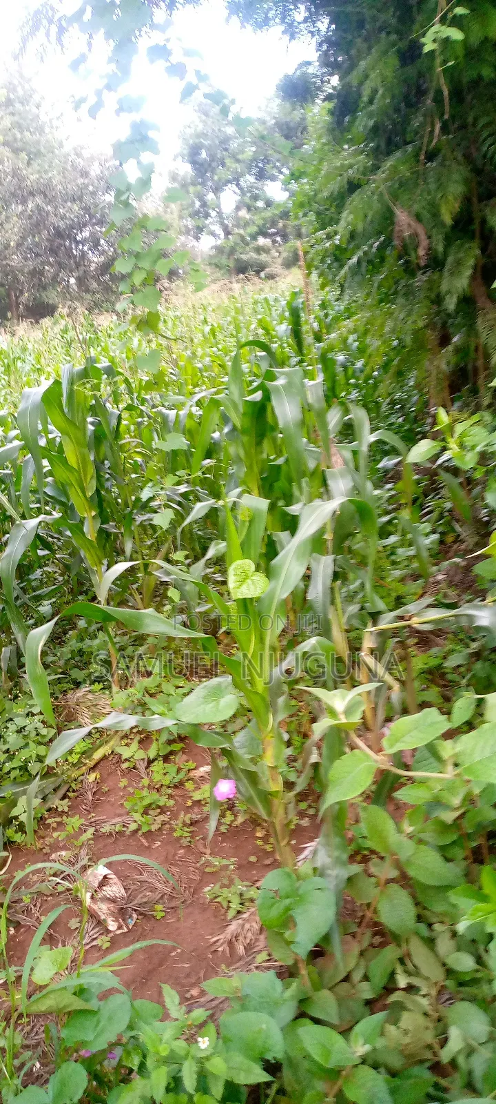 Land for Sale Ngong Karen