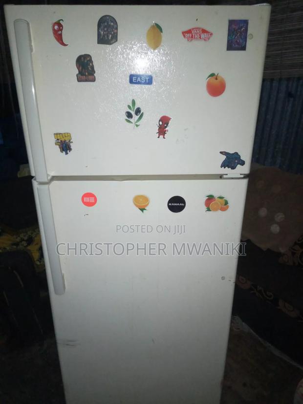 ExUS 510l Fridge With Ice Maker 110v