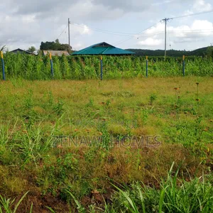 Kikuyu Kamangu Plots by Pm