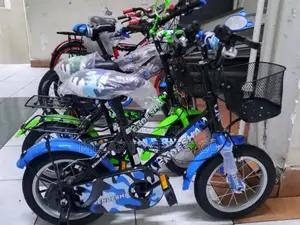 Brand New Endesha Size 12 Kids Bicycle With Basket and Carrier.