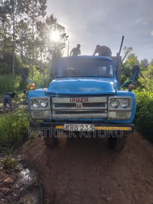 Isuzu Direct 1977 Blue