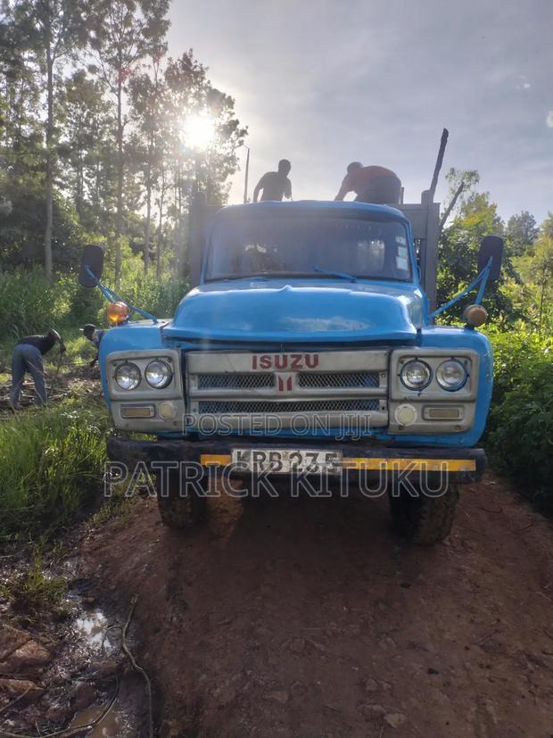 Isuzu Direct 1977 Blue