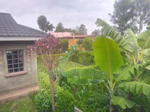 Kapkeben Home