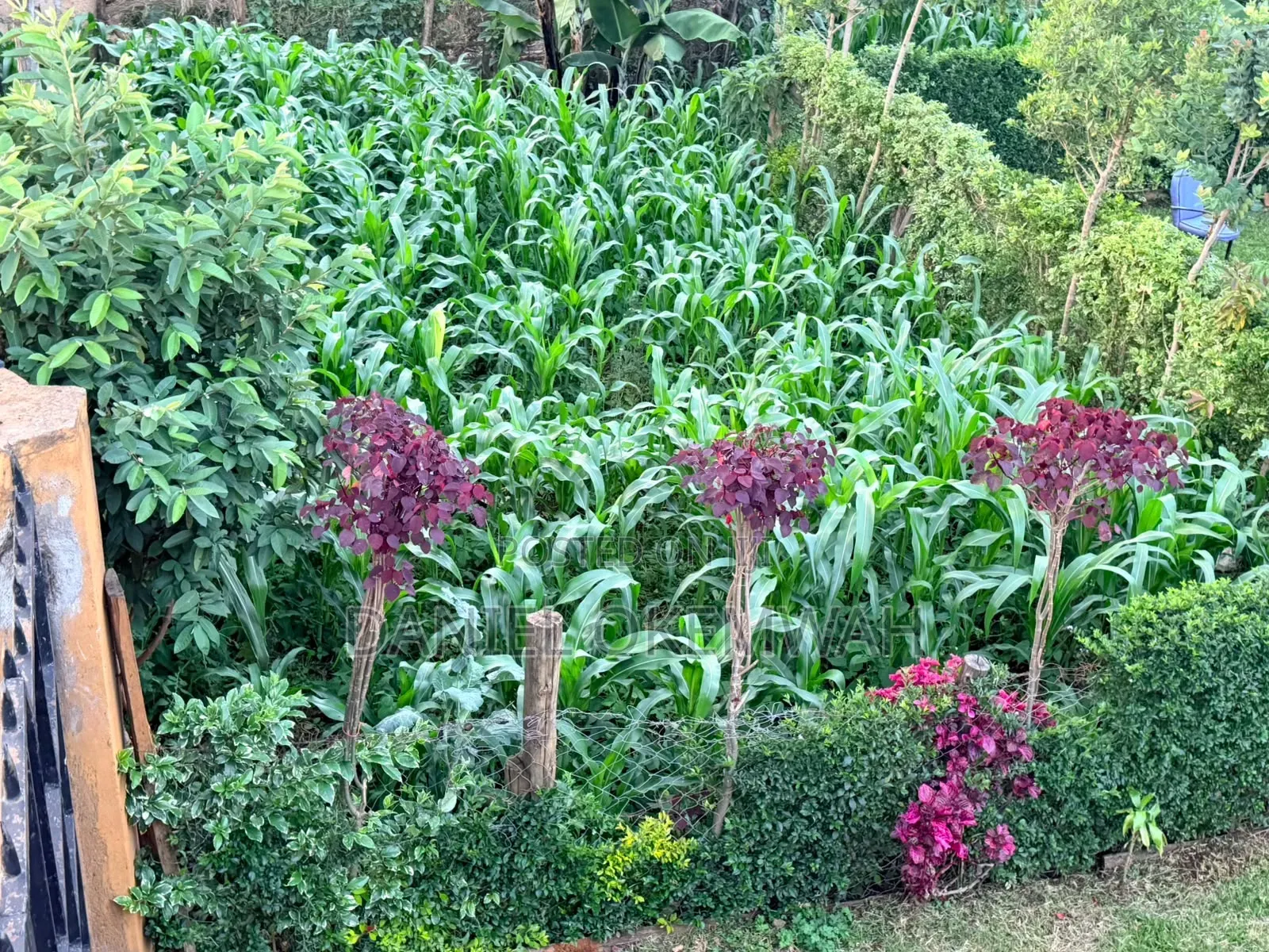 Kapkeben Home