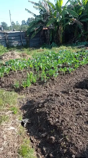 Plot For Sale