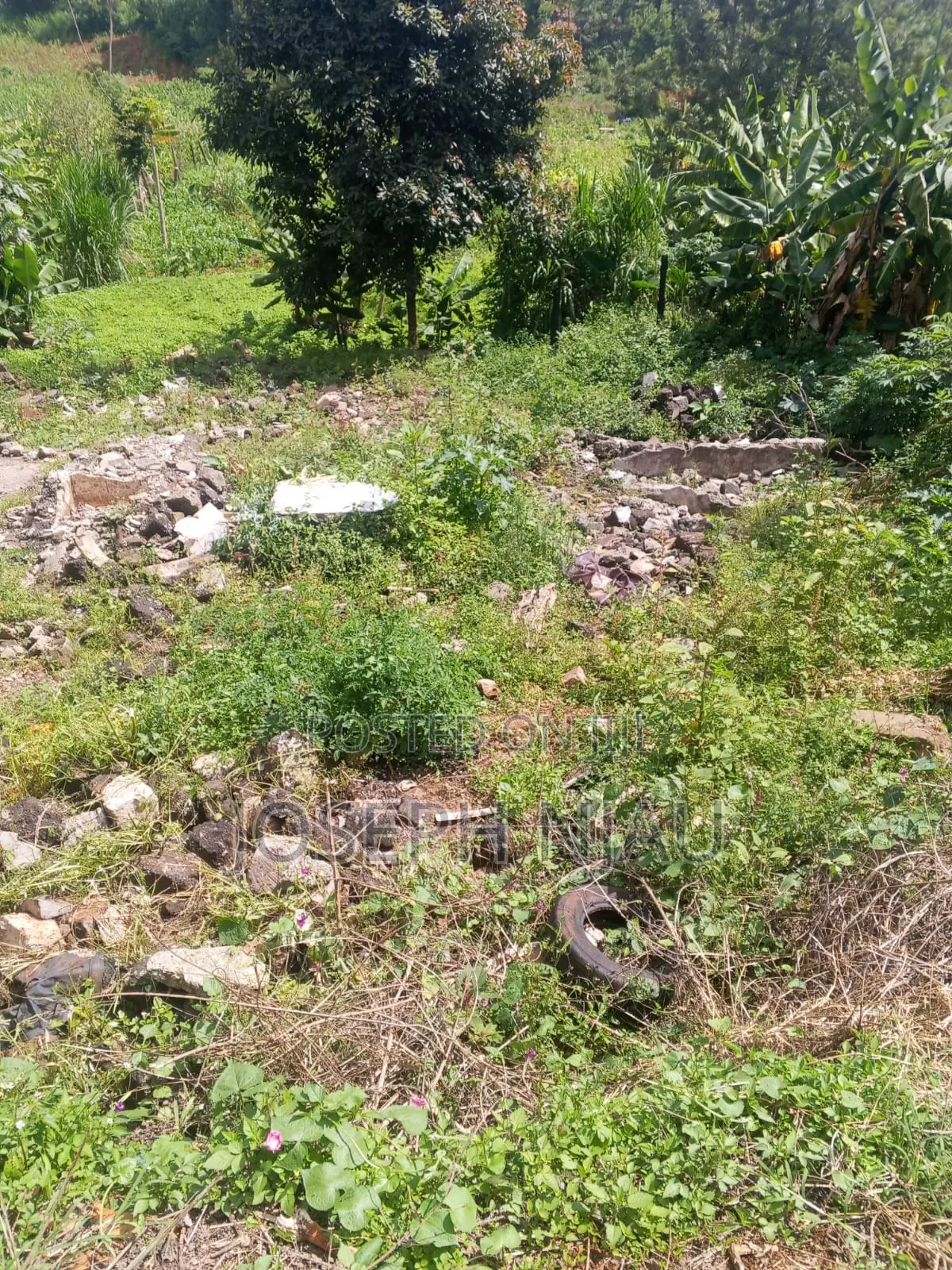 0.6 Acre Land in Mucatha Along Ruaka Banana Road