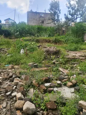 0.6 Acre Land in Mucatha Along Ruaka Banana Road