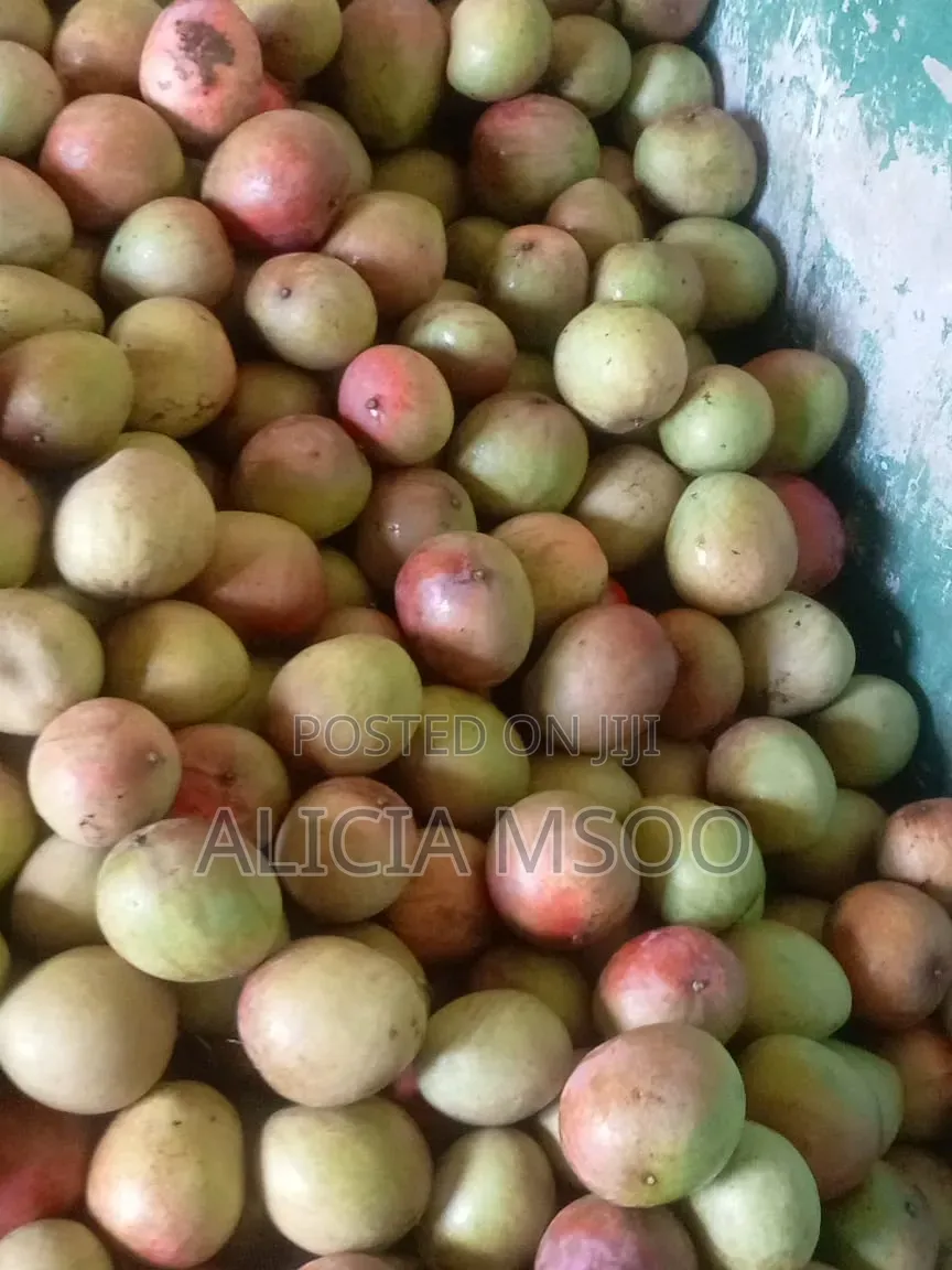 Whole Sale Mangoes Available in Wakulima Market Nairobi