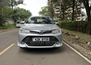 Toyota Axio 2016 Silver