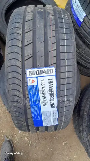 255/40r19 Goddard
