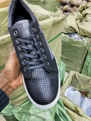 Timberland Casual Shoes - Premium Everyday Streetwear Boots