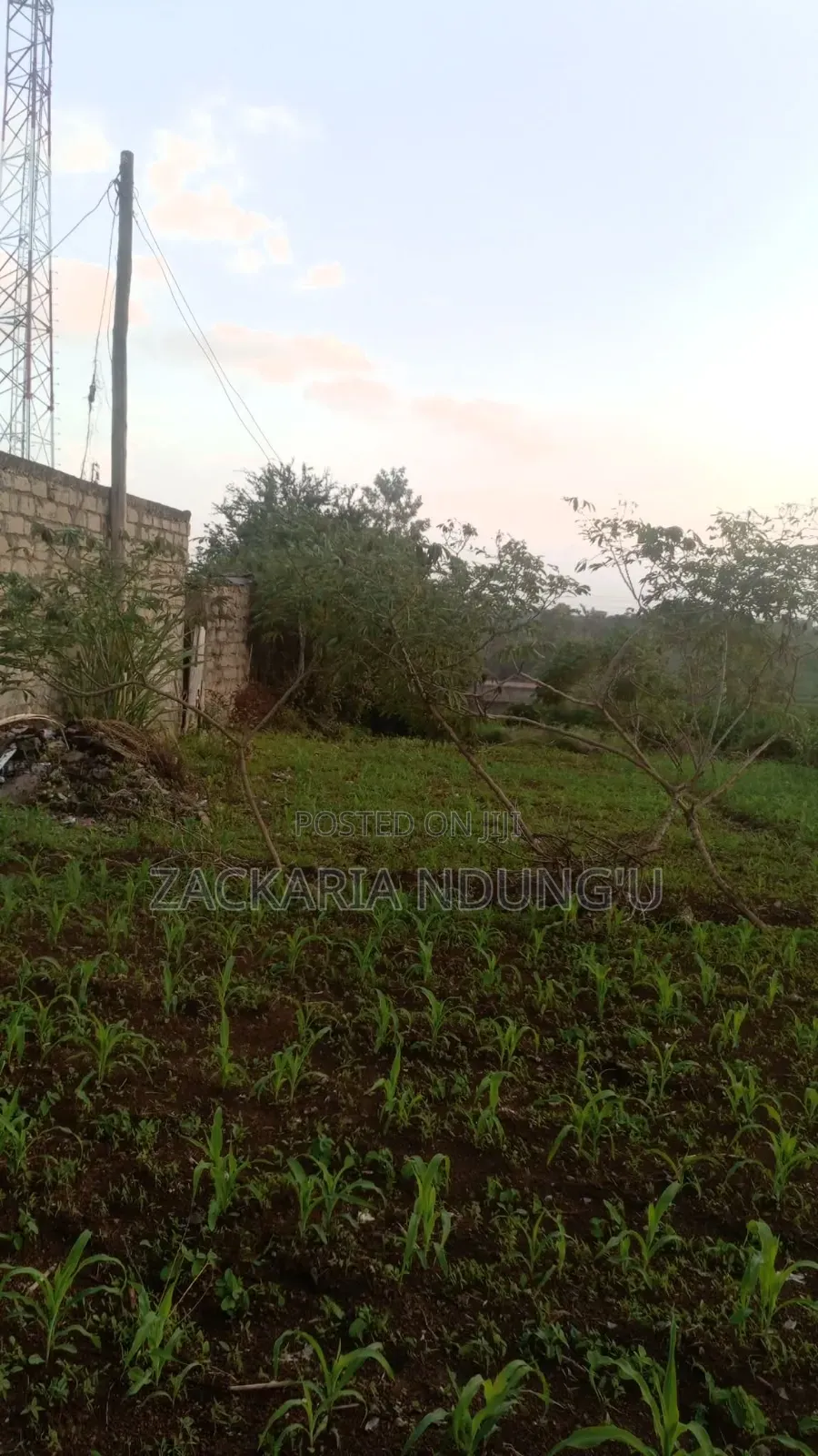 Plot for Sale