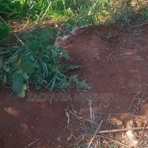 Plot for Sale