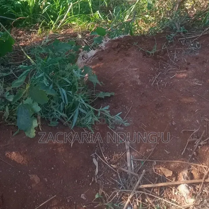 Plot for Sale