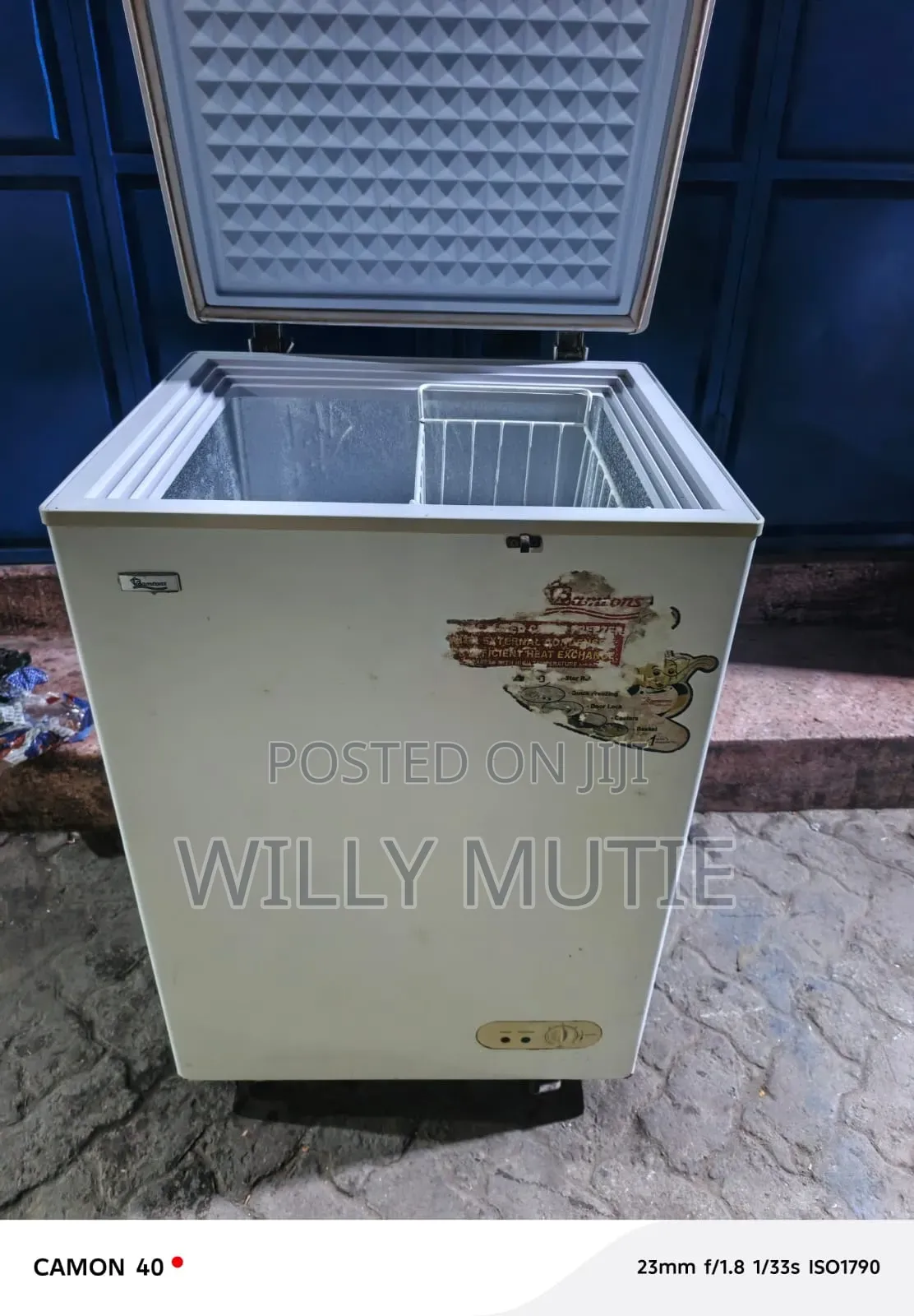 Chest Freezer, Repair and Service