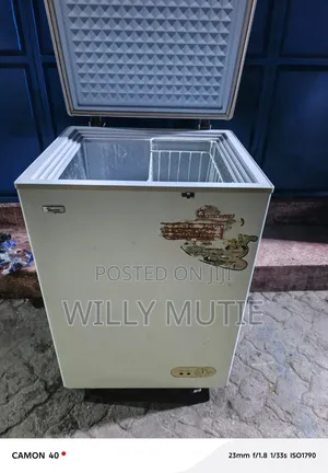 Chest Freezer, Repair and Service
