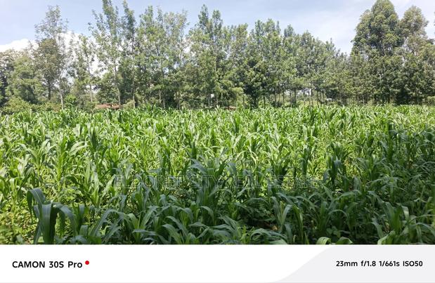 One Acre Musembe Kipkaren With Title