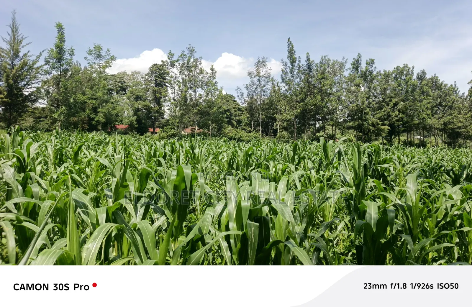 One Acre Musembe Kipkaren With Title
