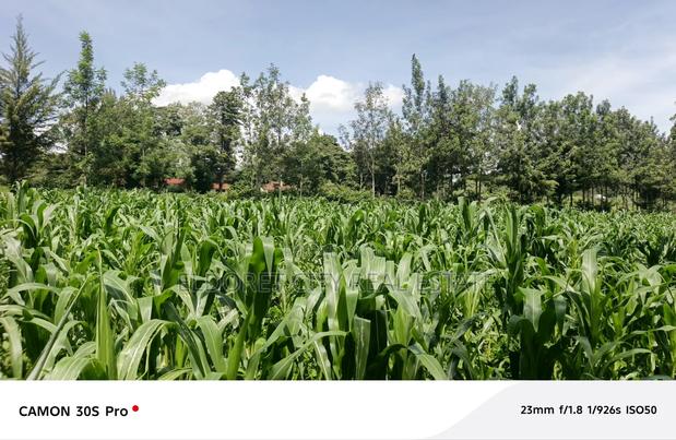 One Acre Musembe Kipkaren With Title - thumbnail 2