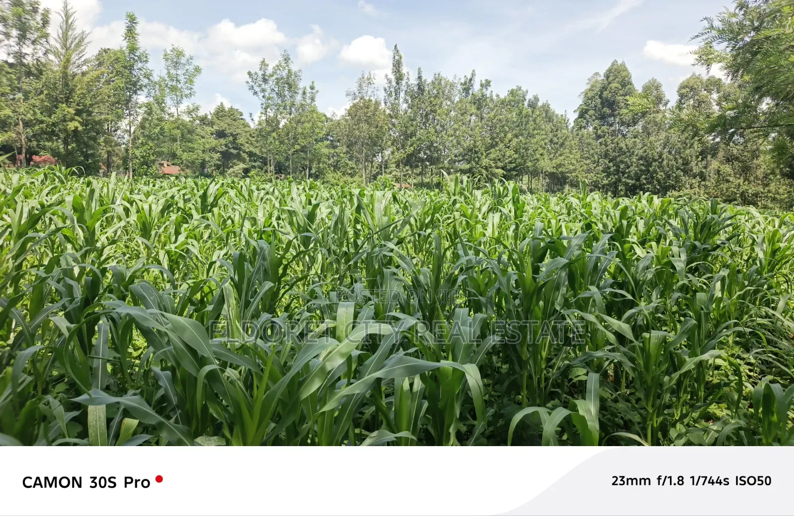 One Acre Musembe Kipkaren With Title