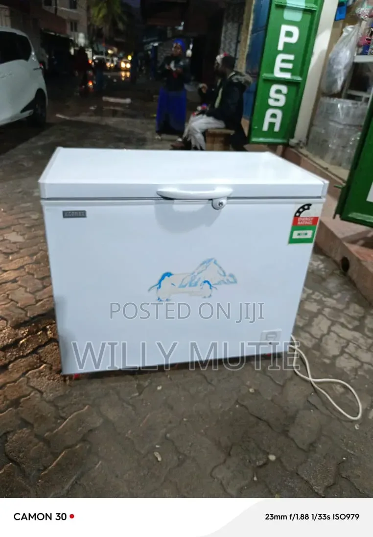 Chest Freezer Painting and Body Works