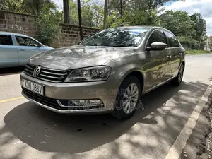 Volkswagen Passat 2013 Gray