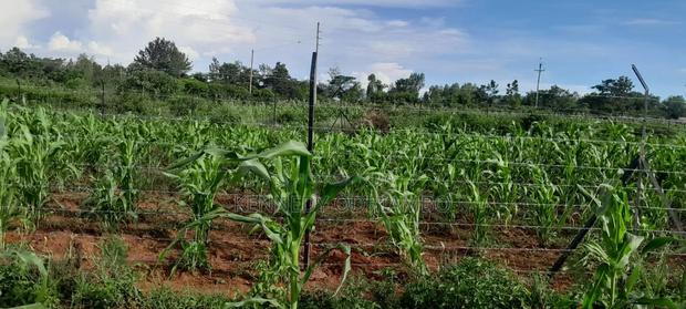 Land for Sale Near Bondo Poly