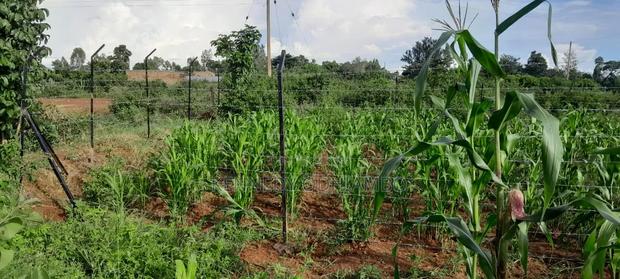 Land for Sale Near Bondo Poly - thumbnail 2