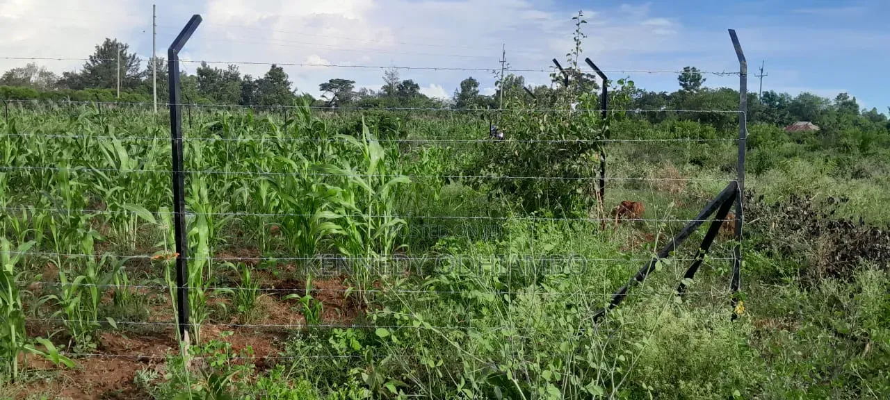 Land for Sale Near Ratiya Technical Institute