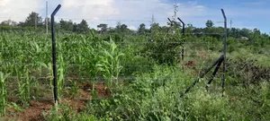 Land for Sale Near Ratiya Technical Institute