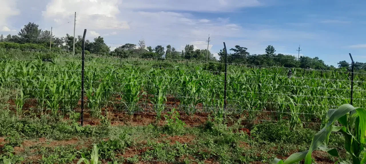 Land for Sale Near Ratiya Technical Institute