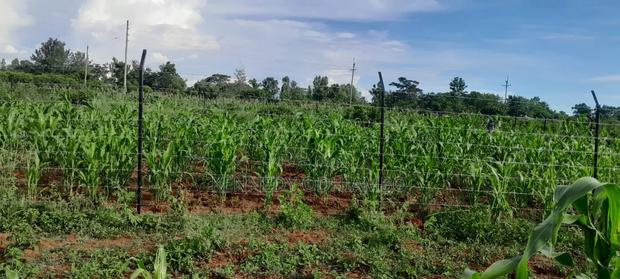 Land for Sale Near Bondo Poly - thumbnail 4