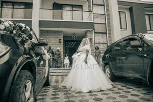 Event Planner,Dj,Pa System,Decor,Lighting Livestream