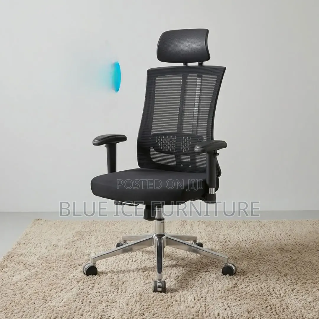 Executive Office Orthopaedic Chair With Headrest