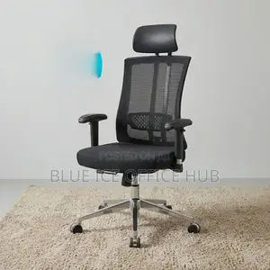 Executive Office Orthopaedic Chair With Headrest