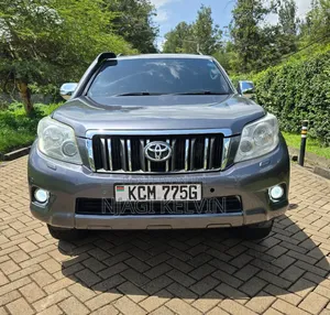 Toyota Land Cruiser Prado 3.0 TD 2010 Gray