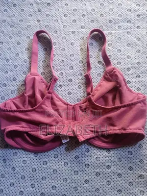 Gorgeous Pink Underwire Bra