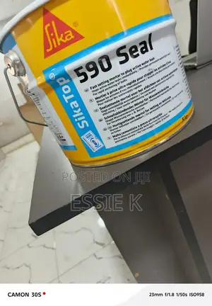 Crystalline Sika Top 590 Plug
