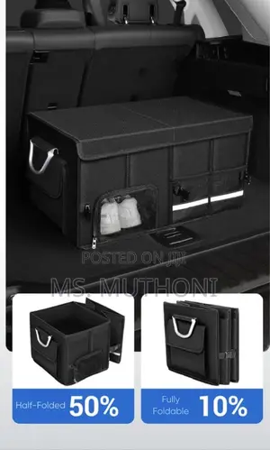 Collapsible Car Trunk / Boot Organizer With Shoe Compartment