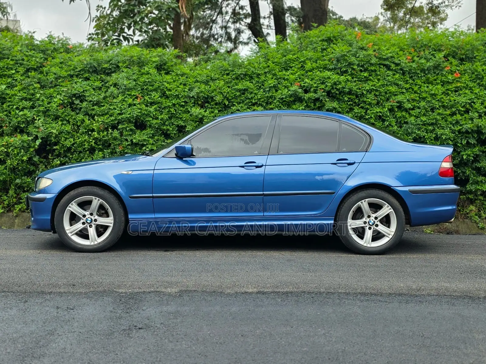 BMW 318i 2005 Blue