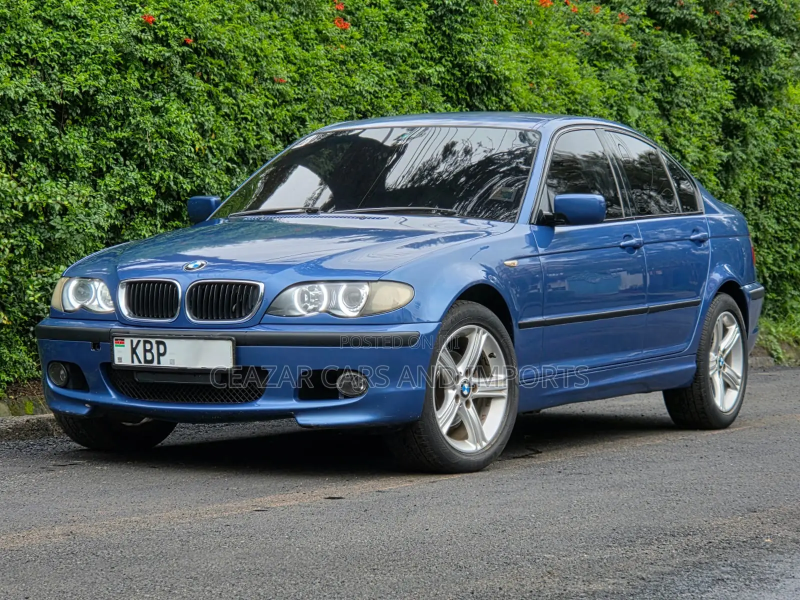 BMW 318i 2005 Blue