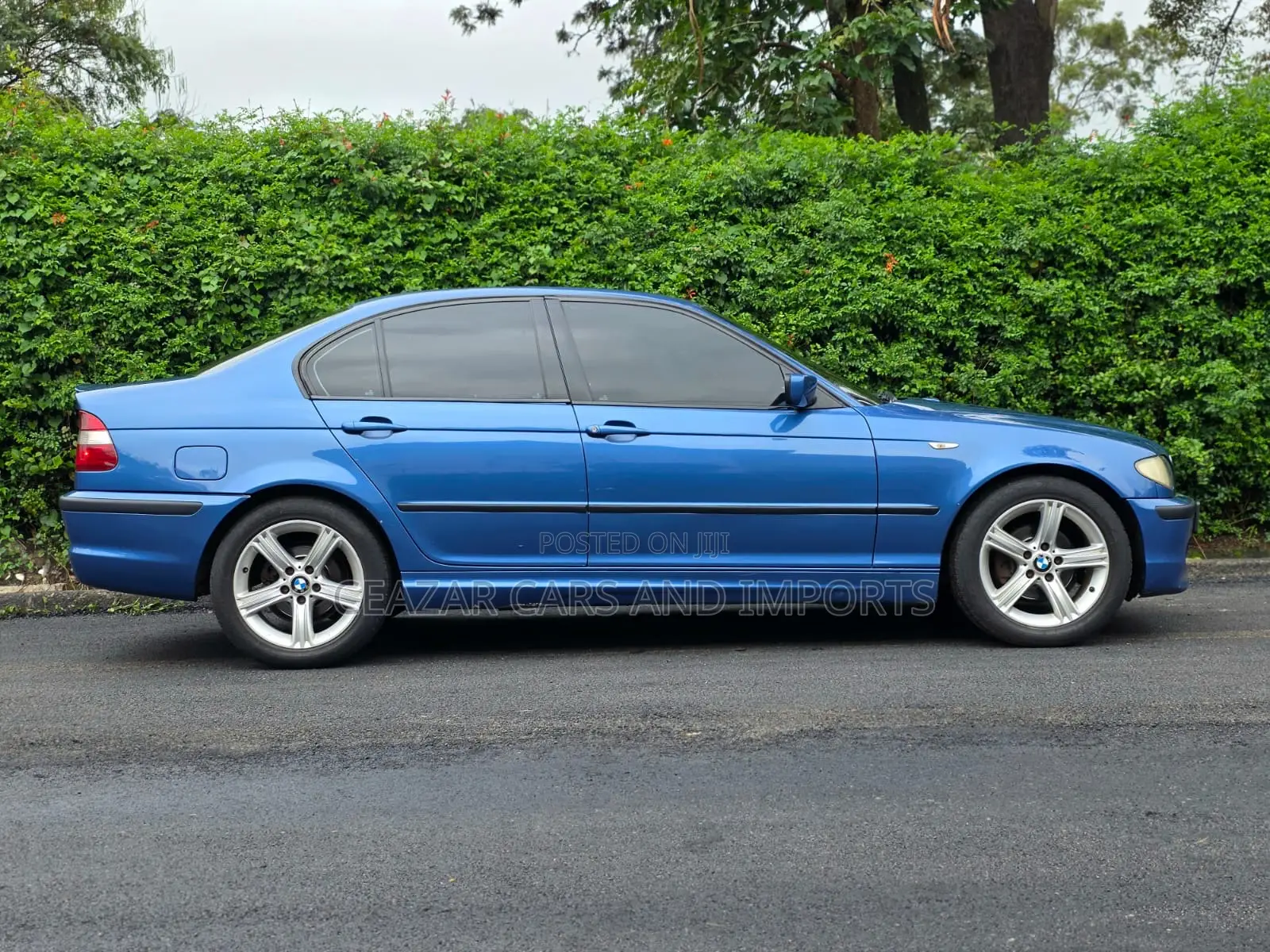 BMW 318i 2005 Blue