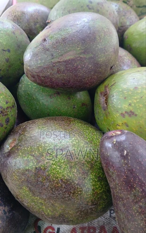 Pure Avocado